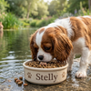 Welke honden supplementen heeft jouw viervoeter écht nodig?