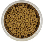 Yourdog Dwerg- Of Toypoedel Volwassen 12 Kg
