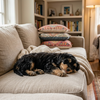 Nieuwe puppy in huis? De ultieme checklist voor een vrolijke start!