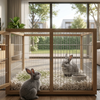 Nieuw konijn in huis? De ultieme checklist voor een blije hangoor!