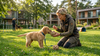 Pup dier wordt getraind