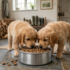 Graanvrij hondenvoer: de beste keuze voor jouw hond?