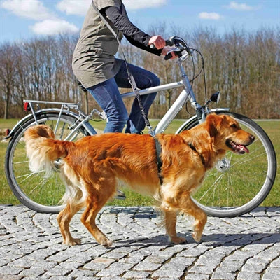 Trixie Fietslijn / Jogginglijn Zwart