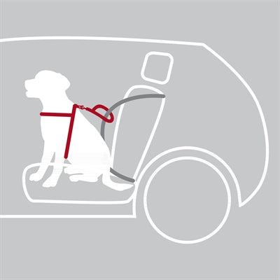 Trixie Hondentuig Auto Dog Protect Zwart