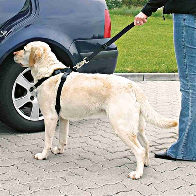 Trixie Hondentuig Auto Inclusief Gordel Zwart 70-90 Cm