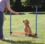 Trixie Dog Activity Agility Horde Blauw / Oranje