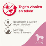 Beaphar Fiprotec Hond Tegen Teken En Vlooien 2-10 Kg 3+1 Pip