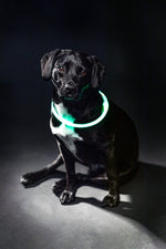 Trixie Lichtgevende Halsband Usb Flash Light Oplaadbaar Tpu Groen 40X0,8 Cm