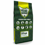 Yourdog Petit Bleu De Gascogne Senior 12 Kg