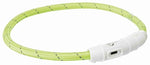 Trixie Lichtgevende Halsband Hond Flash Usb Tpu / Nylon Groen 65X0,7 Cm