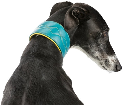 Trixie Halsband Hond Active Comfort Voor Windhonden Leer Petrol