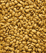 Nutribird P15 Original Onderhoudsvoeder 1Kg