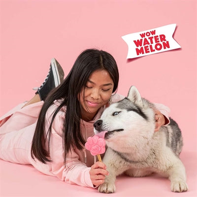Smoofl Ijsmix Voor Honden Watermeloen 160 Gr
