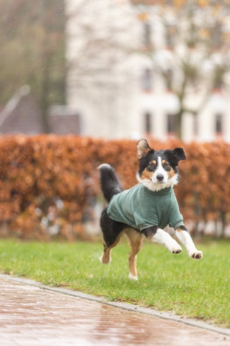 Trixie Citystyle Hondentrui Sweatshirt Amsterdam Donkergroen