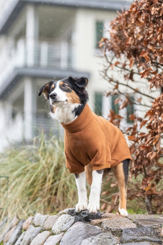 Trixie Citystyle Hondentrui Sweatshirt Amsterdam Roest