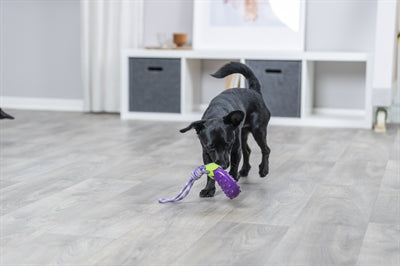 Trixie Hondenspeelgoed Aubergine Aan Koord Tpr