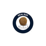 Advance Adult German Shepherd