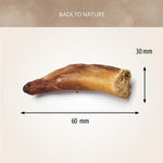 Antos Bullepeespuntjes