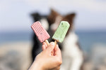 Trixie Ice Pop Rood 55 Gr