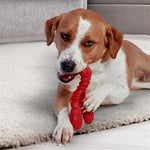 Nylabone Extreme Chew Lobster Filet Mignonsmaak Extra Large Vanaf 23 Kg