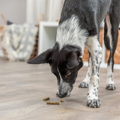 Trixie Vegan Sticks Met Fruit En Groente