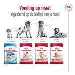 Royal Canin Medium Adult 4 Kg