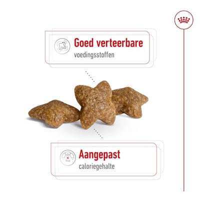 Royal Canin Mini Adult 4 Kg