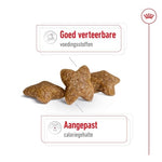 Royal Canin Mini Adult 4 Kg