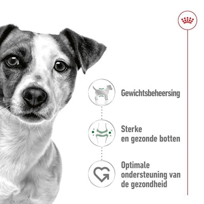 Royal Canin Mini Adult 4 Kg