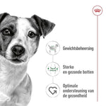 Royal Canin Mini Adult 4 Kg