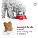 Royal Canin Mini Adult 4 Kg