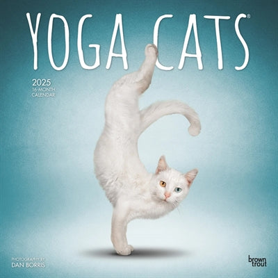 Merkloos Kalender Yoga Cats 2025