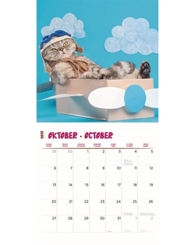 Merkloos Kalender Funniest Cats 2025