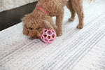 Jw Hol-Ee Roller Trend-Ee Roze 7,5X7,5X7,5 Cm