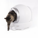 Martin Automatische Kattenbak Wit 50X57X53 Cm
