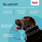 The Company Of Animals Company Of Animals Halti Headcollar Zwart Nr 3