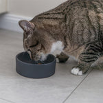 Trixie Voerbak Kat Keramiek Assorti 12 Cm 150 Ml