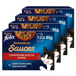 Felix Sensations Countryside Selectie In Saus 4X12X85 Gr