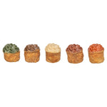 Trixie Cupcake Met Kippenborst 25 Gr 70 St