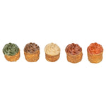 Trixie Cupcake Met Kippenborst 25 Gr 70 St