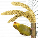 Back Zoo Nature Grass Keeper 20X3 Cm