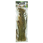 Back Zoo Nature Millet Panicum 40 Gr