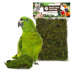 Back Zoo Nature Forest Moss 70 Gr
