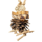 Back Zoo Nature Forest Ring Ca. 22X10X6 Cm