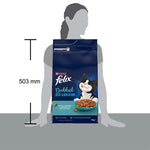 Felix Droog Dubbel Zo Lekker Zalm / Vis / Rode Biet 4 Kg