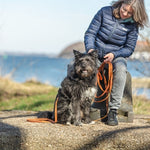 Trixie Sleeplijn Met Rubber Bekleed Zonder Handlus Oranje 5 Mtrx1,5 Cm