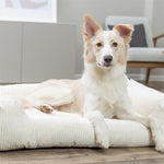 Trixie Vital Hondenmand Jonna Hoekig Ribfluweel Creme 60X50 Cm