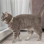 Trixie Kattenhalsband Katoenlook Assorti 20-30X1 Cm
