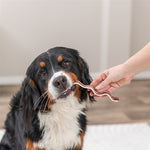 Trixie Premio Bacon Strips Met Eendenborst En Rundvlees 80 Gr